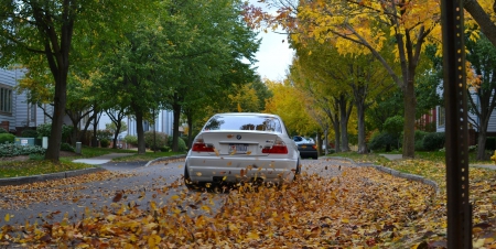 *** Autumn *** - fall, nature, park, autumn