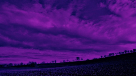 skies - nature, sky, field, trees