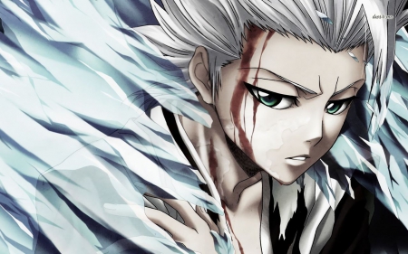 hitsugaya - white, ice, toshiro, hitsugaya