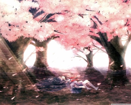 anime sakura - girl, anime, sakura, tree