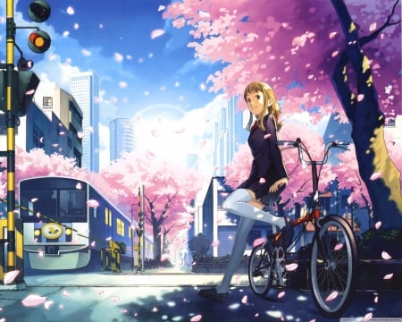 anime girl in city - city, anime, train, sakura