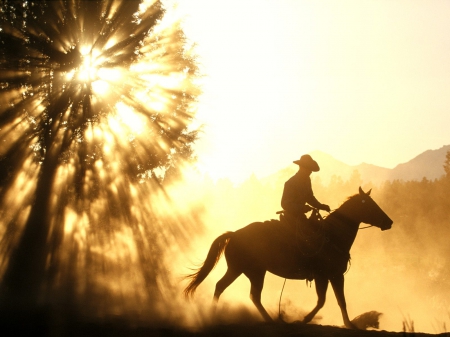 Trail Blazer - sky, horse, wonderful sunset, cowboy, beautiful, tree, sunset, nature