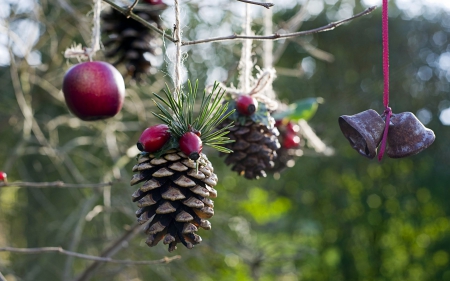 Christmas decorations - xmas, photography, pine, winter, christmas ornaments, christmas, nature, christmas tree, holidays, abstract, tree, decoration