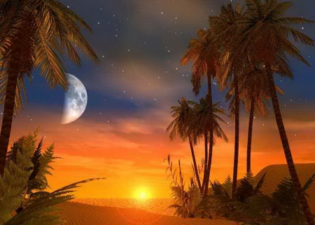 Sunset - moon, sky, palm trees, desert, sunset, colors, golden sand