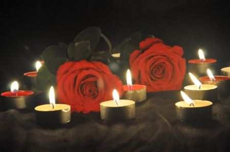 roses & candles - abstract, candles, red roses, still life