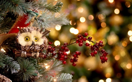 Merry Christmas! - red, berry, lights, bird, ornament, owl, christmas, decoration, tree, branch, green