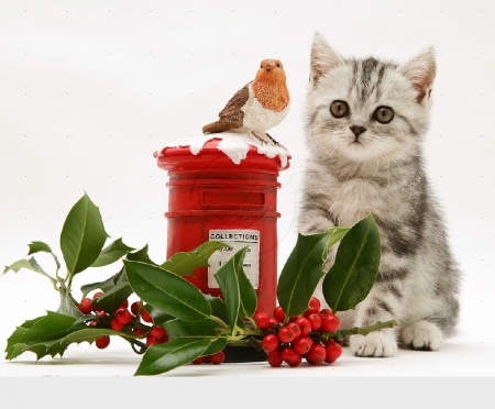 ~ ♥ღ Merry Christmas ღ♥ ~ - cats, festive toys, tabby kitten, animals