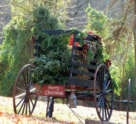 ~ ♥ღ Merry Christmas ღ♥ ~ - carriage, Christmas trees, nature, Merry Christmas