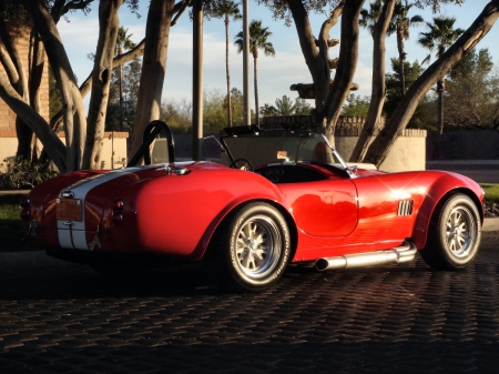 Shelby Cobra Replica - cobra, ride, car, thrill