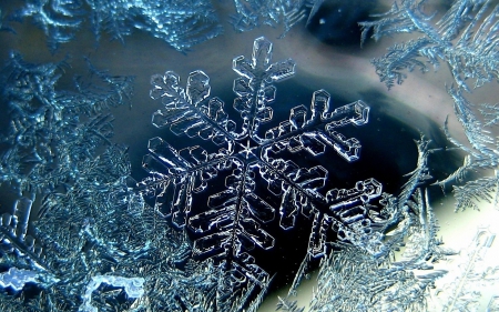 Snowflakes - snowflake, glass, window, blue