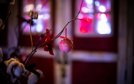 Merry Christmas! - ball, pink, window, globe, branch, christmas