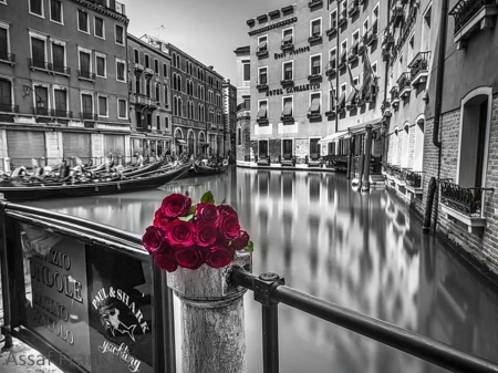 splash color - flowers, black, grey, white, red, photography, city, houses