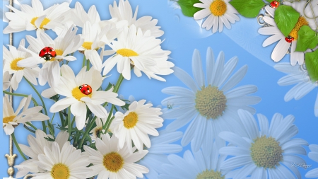 Daisy Rest - summer, blue, ladybug, daisy, spring, Gerbera, lady bugs, Firefox Persona theme, Shasta, wild flowers