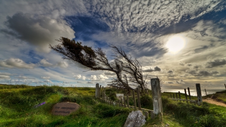 wind blown tree near a monument by the sea - beach, clouds, tree, monument, grass, sea, wind