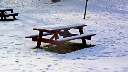 No Picnic Today - scenic winter, scenic park, snowy trail, winter scene, snowy park, no picnic today