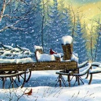 Old Cart in Snow