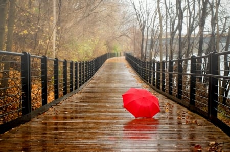 Rainy Day - love four seasons, forest, rain, autumn splendor, beautiful, leaves, bridge, umbrella, fall season, architecture, scenery, view, river, photography, bridges, nature, autumn, umberlla, red, fall, water, attractions in dreams, rainy, drops, places, creative pre-made, splendor, autumn leaves, stunning, landscapes, trees, colors