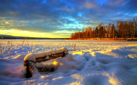 ★Light of Wisdom★ - scenery, creative pre-made, light of wisdom, snow, holidays, light, Finland, wisdom, landscapes, plants, seasons, sky, sun, clouds, sunlight, trees, winter, softness beauty, beautiful, photography, xmas and new year, nature, love four seasons