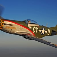 WWII P-51 Warplane