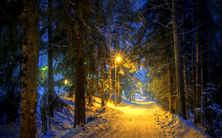 â˜…The Way Homeâ˜… - street, photography, xmas and vigigen, winter, the way home, plants, nature, love four seasons, holidays, most downloaded, snow, lamps, scenery, lighting, tree, landscapes