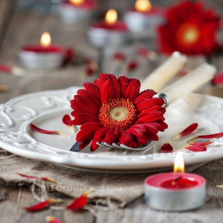 :) - red, flower, abstract, soft