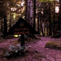 Summer Night in Pokaini forest.