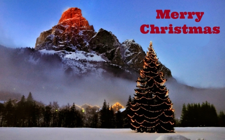 Merry Christmas - tree, sunset, mountain, christmas