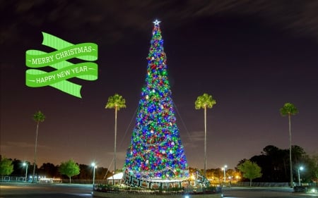 Disney's Hollywood Studios - hollywood, tree, usa, christmas