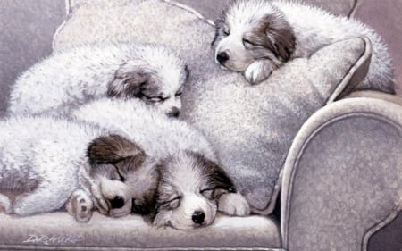 Sleeping - sofa, dog, sweet, white, animal, sleep, painting, pillow, cute, puppy, art