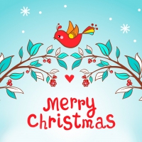 Christmas Bird