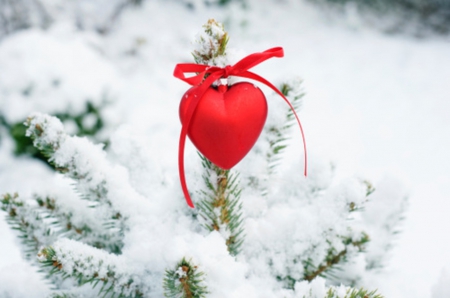 ♥ - winter, heart, musk, snow, love, christmas love, tree