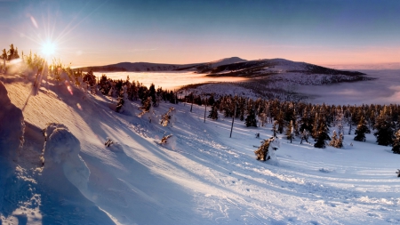 winter - forest, winter, sun, eclipse