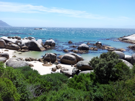 Boulders Beach, South Africa - south africa, beach, boulders, cape