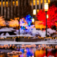 Bokeh winter lights