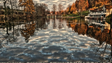 mirrored surface pond hdr - autumn, ducks, trees, reflection, homes, hdr, pond