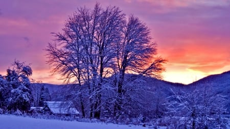 cabin in a forest at sundown in a purple winter - sundown, purple, cabin, forest, mountains