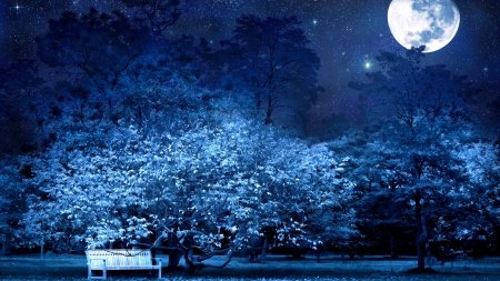 moon in a starry sky over park bench - moon, stars, trees, park, bench