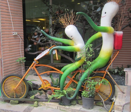 Lovely decorate - radish, decorate, bicycle, hotel, lovely