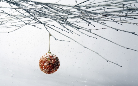 Outdoor Christmas II. - abstract, branch, winter, decoration, photography, snow, HD, tree, Xmas, nature, holiday, Christmas, christmas ornaments, wallpaper