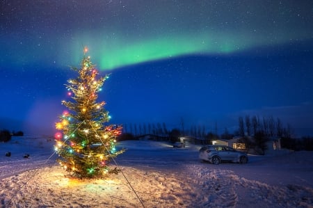 Christmas - nice, new year, photography, colorful, balls, pretty, cold, holiday, background, winter, lovely, christmas, merry christmas, snow, beautiful, photo, decoration, happy