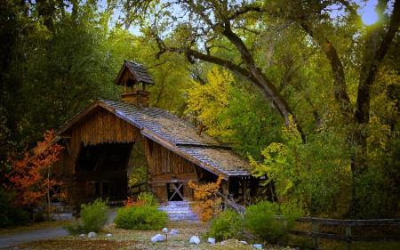 This Old Barn... - architecture, trees, old, barn