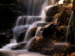 Serene Waterfall