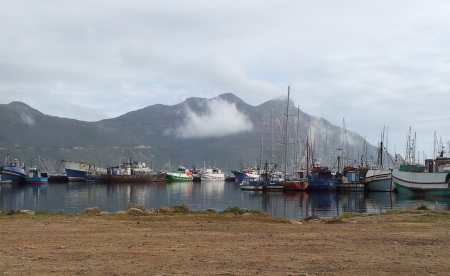 Hout Bay, South Africa - south africa, boats, fishing, hout bay, harbour