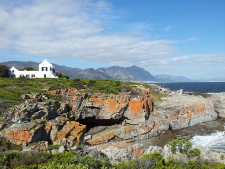 Hermanus, South Africa - south africa, ocean, hermanus, cliffs