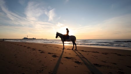 riding a horse on a beach at sunset - horse, beach, rider, pier, sunset, sea