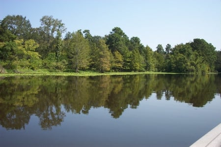 Early morning glass - calm, lake, refelction, trees