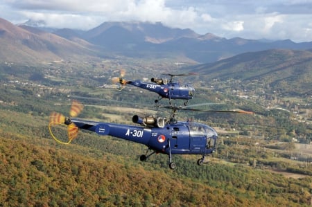 blue helicopters - green, landscape, above, fly