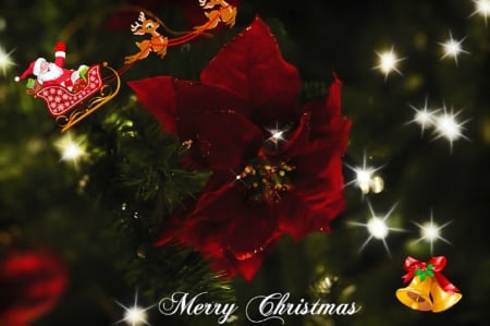 ~ ♥ღ Merry Christmas ღ♥ ~