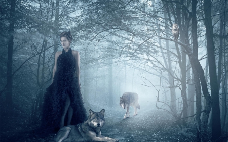 The lady of the wolves - art fantasy, wolves, lady, trees, forest, blue night, animals