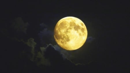 Full Moon - moon, full, yellow, Night